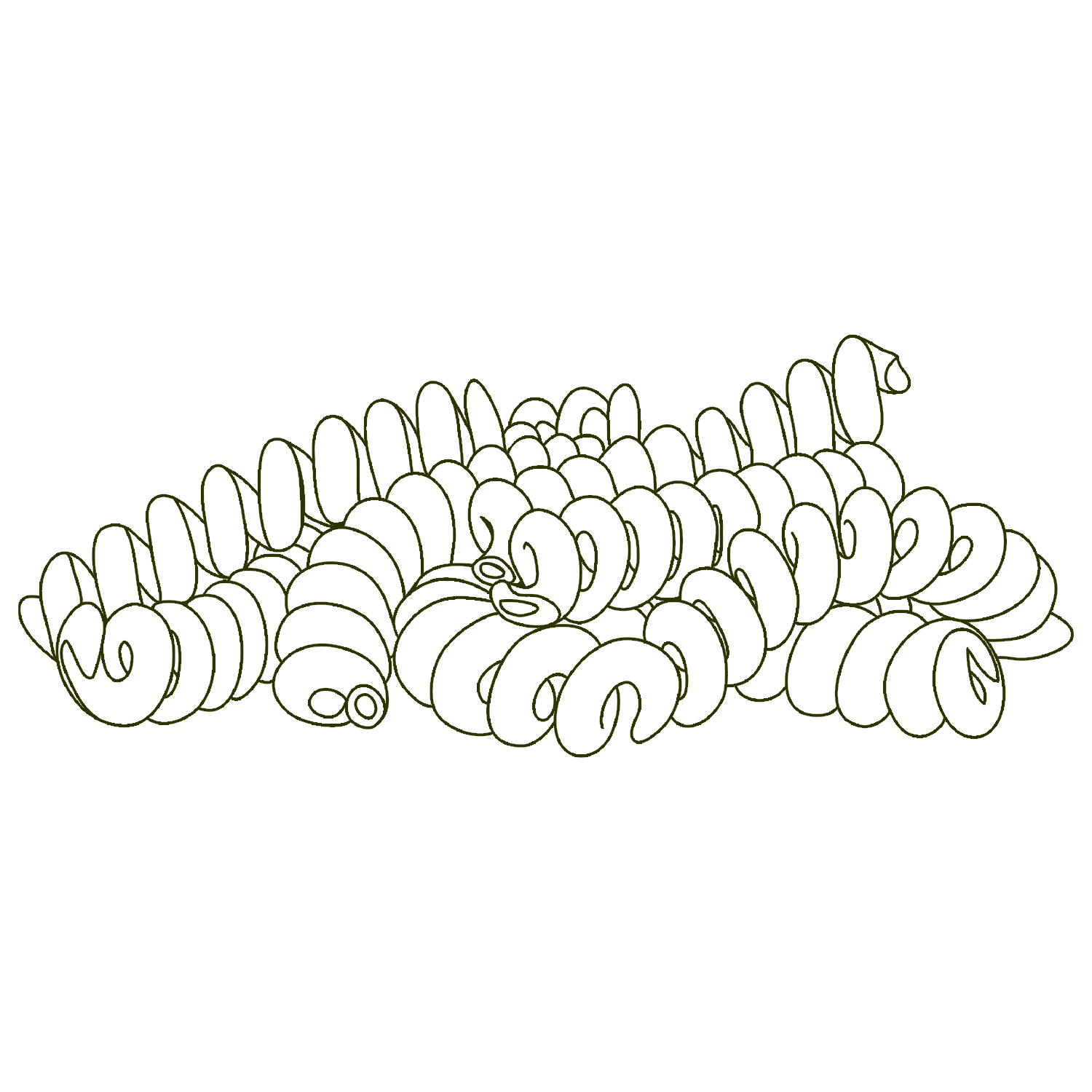 Fusili-Pasta