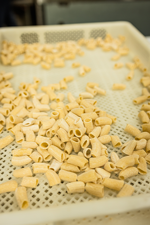 fresh-pasta-frali